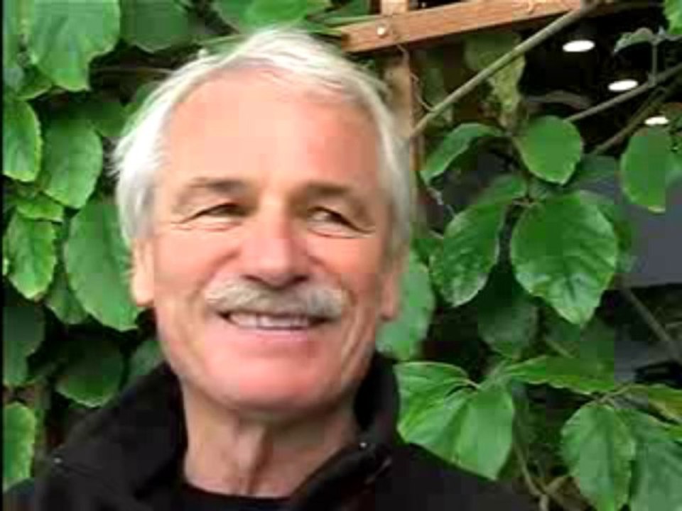 Videoquizz Yann Arthus Bertrand - TERRA ECO