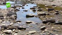 Rimini: scatta il divieto di prelievo d'acqua dai fiumi  Multe fino a 1000 euro