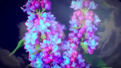 The Horrors - Still Life