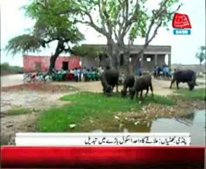 School occupied  by well known person