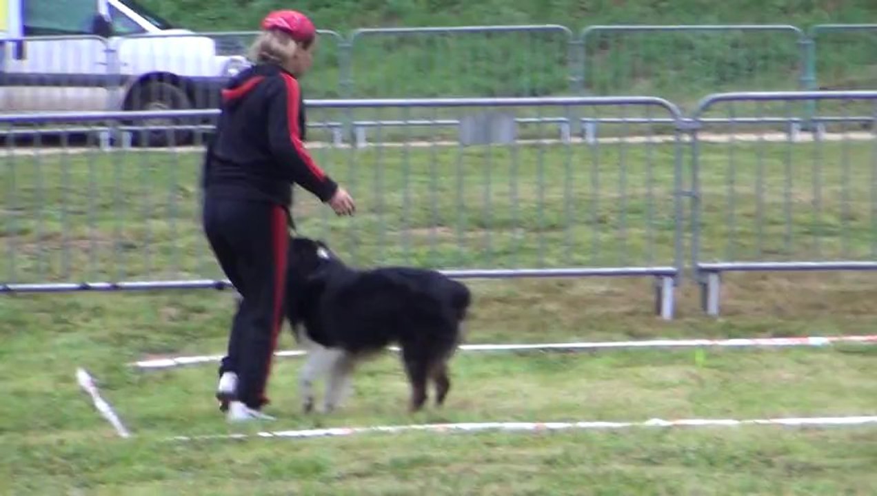 gimmy cavage