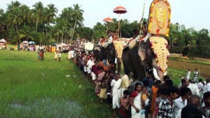 Amazing festival and Elephant procession in India