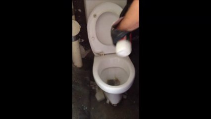 Entretien de toilettes / wc entartrées