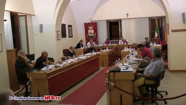 Consiglio comunale 9 agosto 2013 petizione spiaggia per cani replica Rota