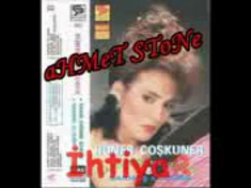 Hüner Çoşkuner - Diledim Seni