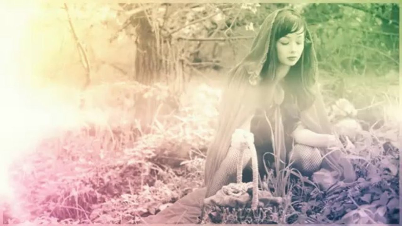 Models - After Effects Template