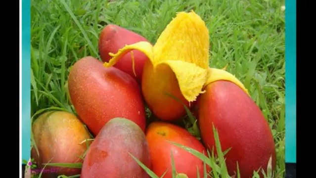 NARS Pure Matte Lipstick