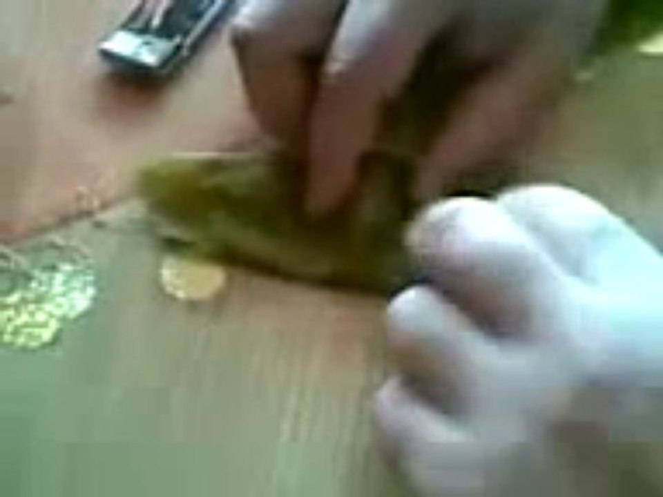 Yaprak Sarması Nasıl Yapılır    Nefis Yemek Tarifi