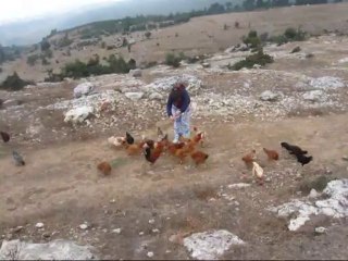 04.09.2013 - Tavukları beslerken