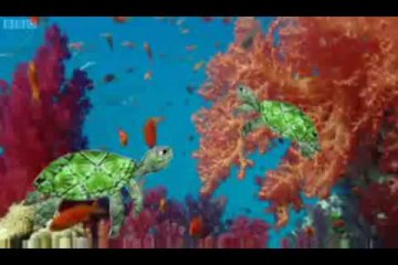 I Am Going to Save a Panda