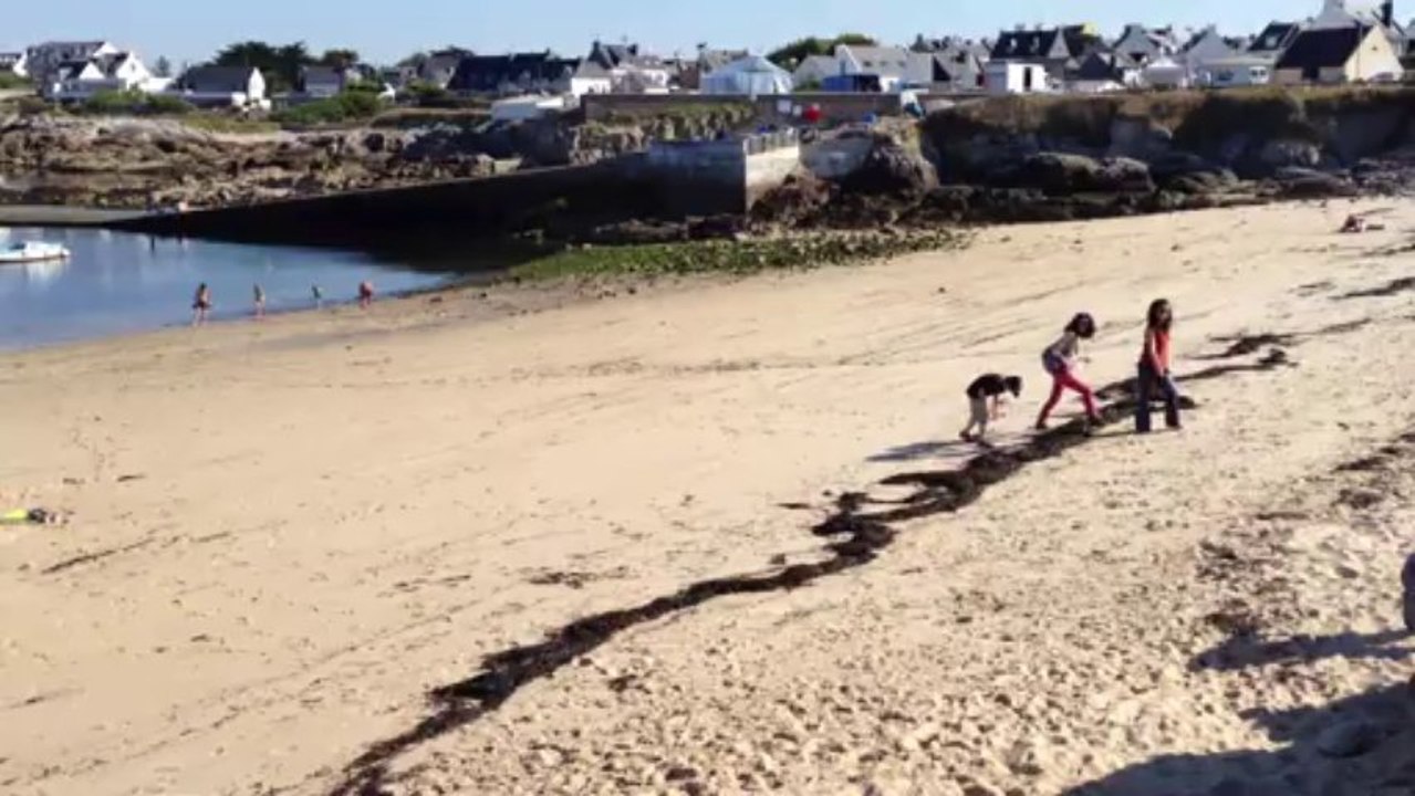 Bretagne Morbihan : plage petit matin suite