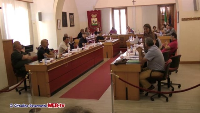 Consiglio comunale 9 agosto 2013 petizione spiaggia per cani intervento Ciafardoni