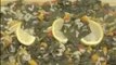 Zeytinyağlı Ispanak Bastı Nasıl Yapılır   Nefis Yemek Tarifi