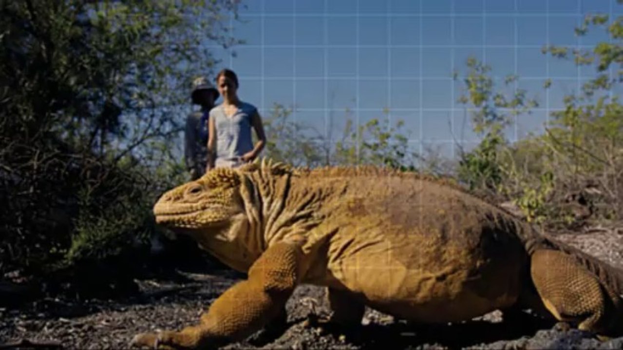 Galasam - Galapagos Tours and Cruises