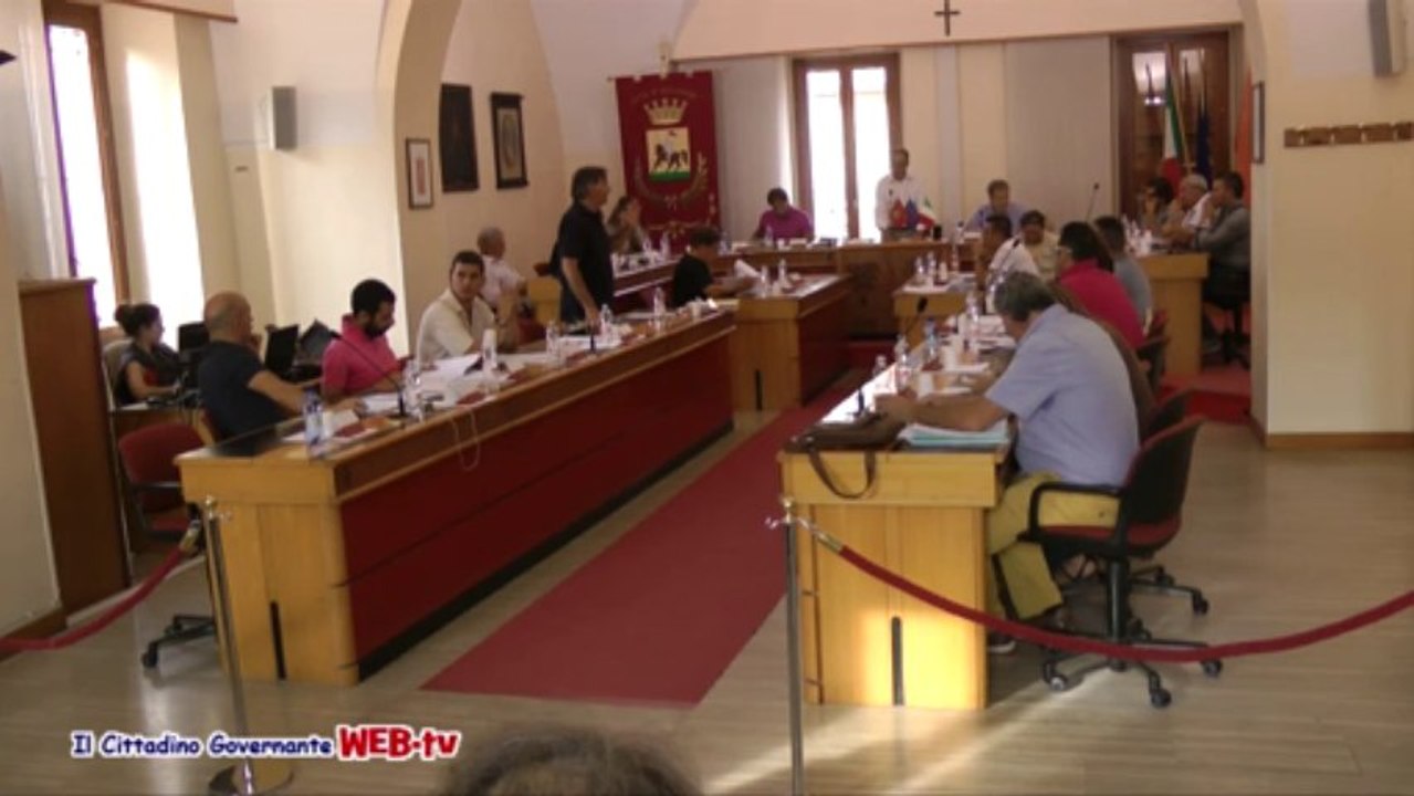 Consiglio comunale 9 agosto 2013 comunicazione Arboretti mercato del giovedì