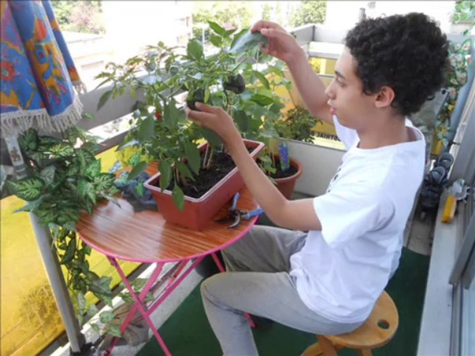 blue bayou interpretation perso 2013°