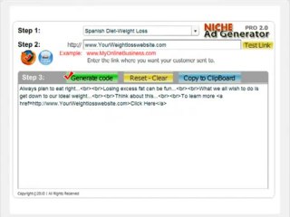 Niche Ad Generator Pro