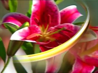 Hz.Mehdi ( ə.s.) ilə birlikdə ona kömək edənlər də mənəvi təzyiq və zülmə məruz qalacaqlar