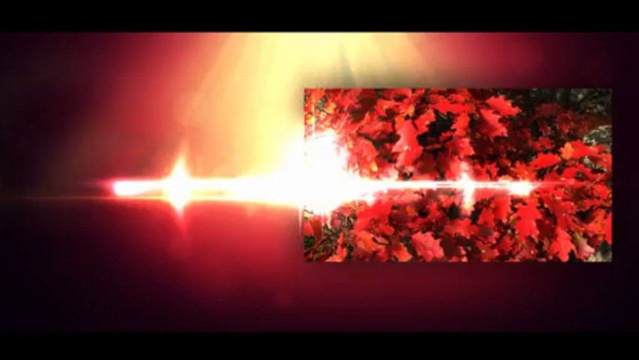 Romantic Glare - After Effects Template