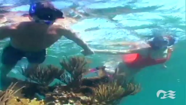 Discover Cruise Vacations to the Caribbean from Houston, Texas with Princess Cruises