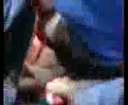 HisS>>hislerim2727 EKLEYİN spk hislerim2727... RAKİPSİZ SENİ DOMATİP SİKCEM