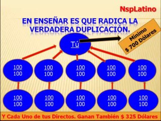 PRESENTACIÒN EQUIPO DE NEGOCIOS NSPLATINO
