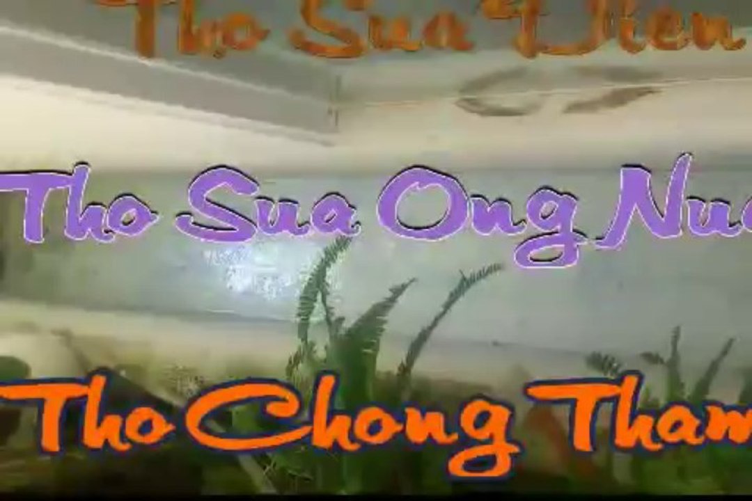 ^mr-chien^ tho chong tham tai o , quan 5 tphcm 0932!004!556