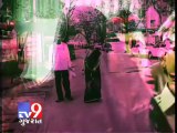 Tv9 Gujarat - Chain snatcher caught while fleeing on bike in Thane , Mumbai