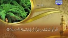 سورة الفتح الشيخ ماهر المعيقلي surah Fath maher mueaqly