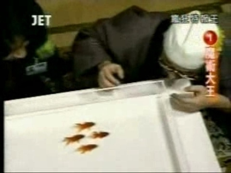 Dresseur Poisson Rouge