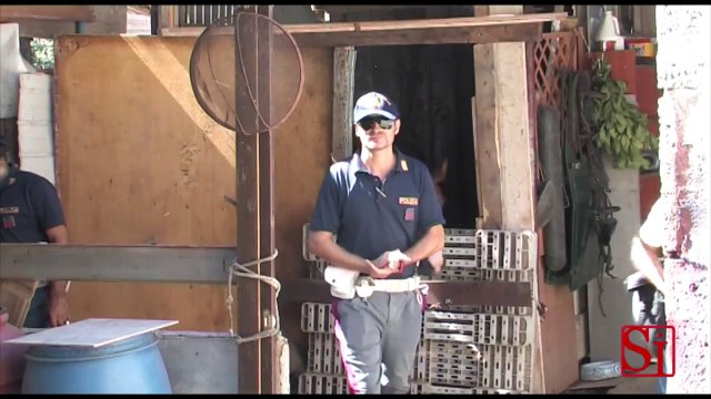 Napoli - Al via il Programma di tutela degli amici animali -1- (04.09.13)