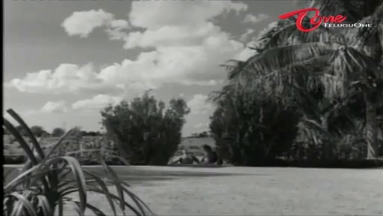 Zamindar Movie Songs | Aa Navvula Kosame | ANR | Krishna Kumari