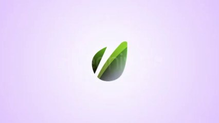 Elegant Rotation Logo Reveal - After Effects Template