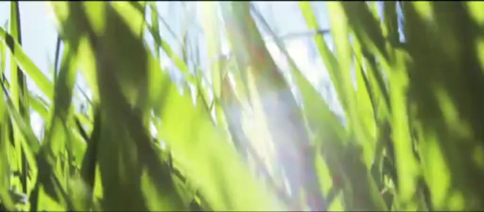 Le Bearclaw Invitational au travers des lunettes Adidas