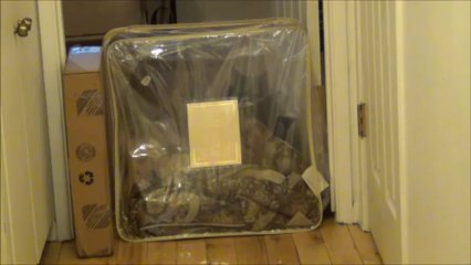 Señor Gato a bajar de Peso Parte 2