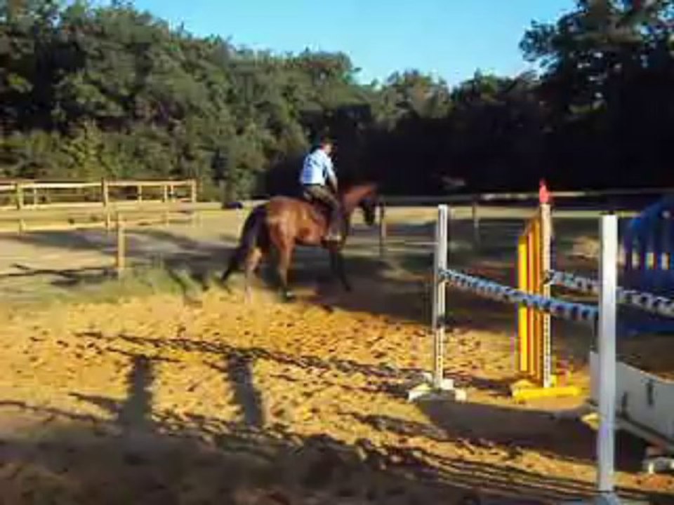 jument 5 ans bleu blanc rouge par urbain du monnai