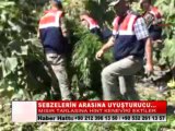 03-SEBZELERİN ARASINA UYUŞTURUCU