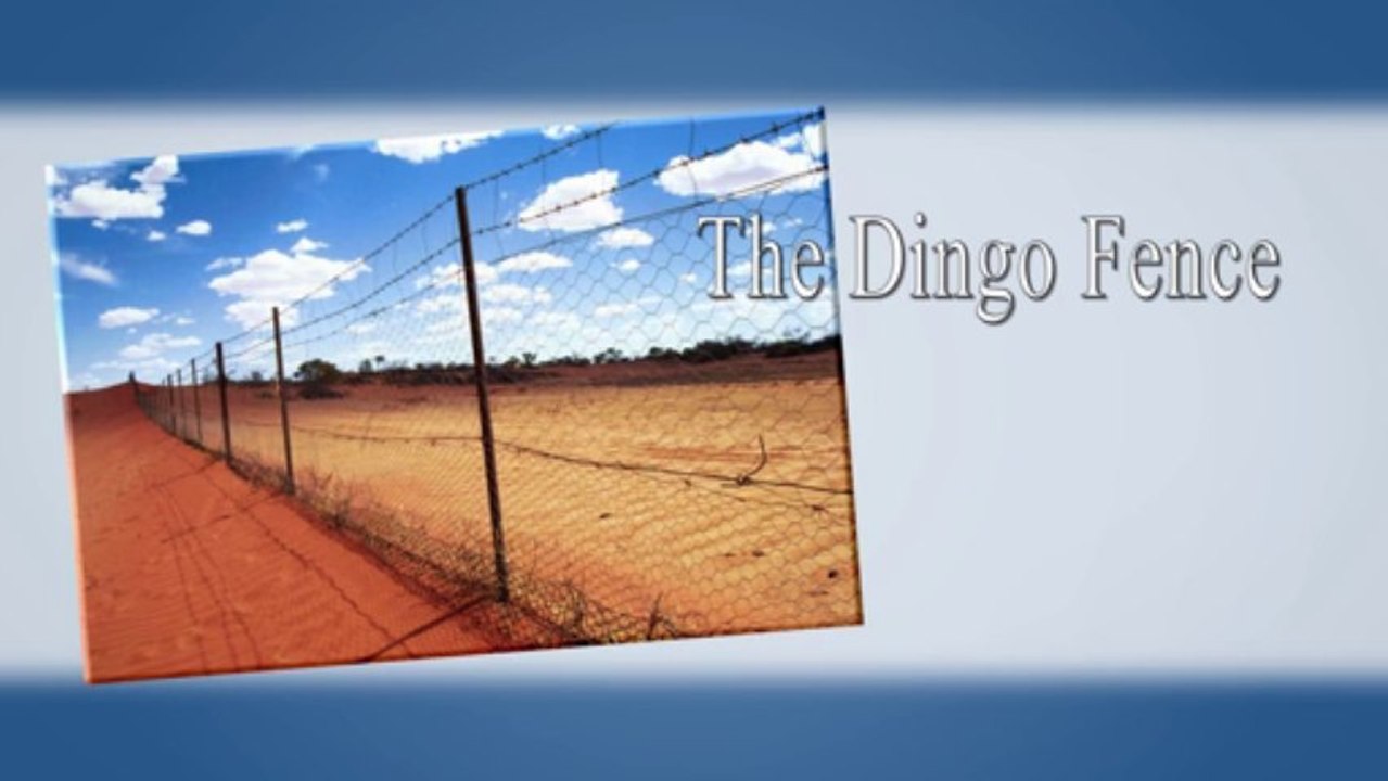 Security & Wooden Fences - Custom Gates Essex | 013 75 407 847