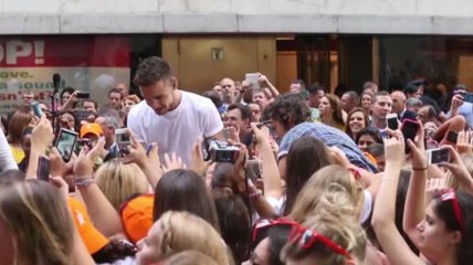 Liam Payne Is Praised For Saving His Friend's Life in the Flat Fire