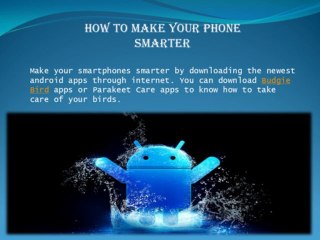 Get Newest Budgie Bird Apps for Your Android