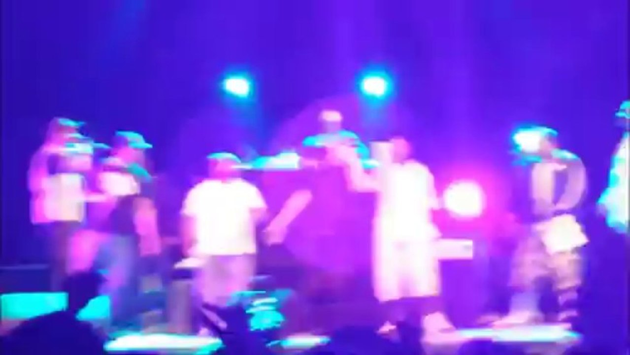 wu tang clan  live 2013 HD