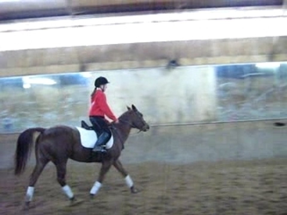 Debout au trot