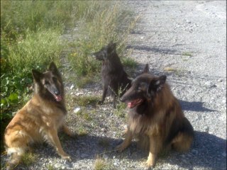 vacances 2013 au mont Ventoux