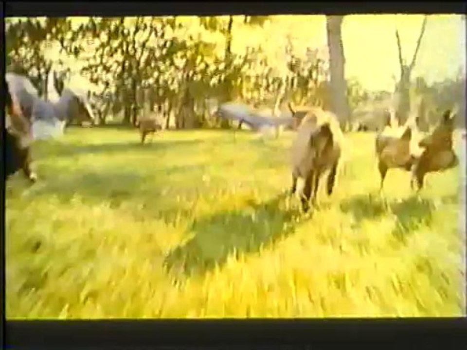 Opening to Antonia & Jane (1990) - Canadian VHS Release