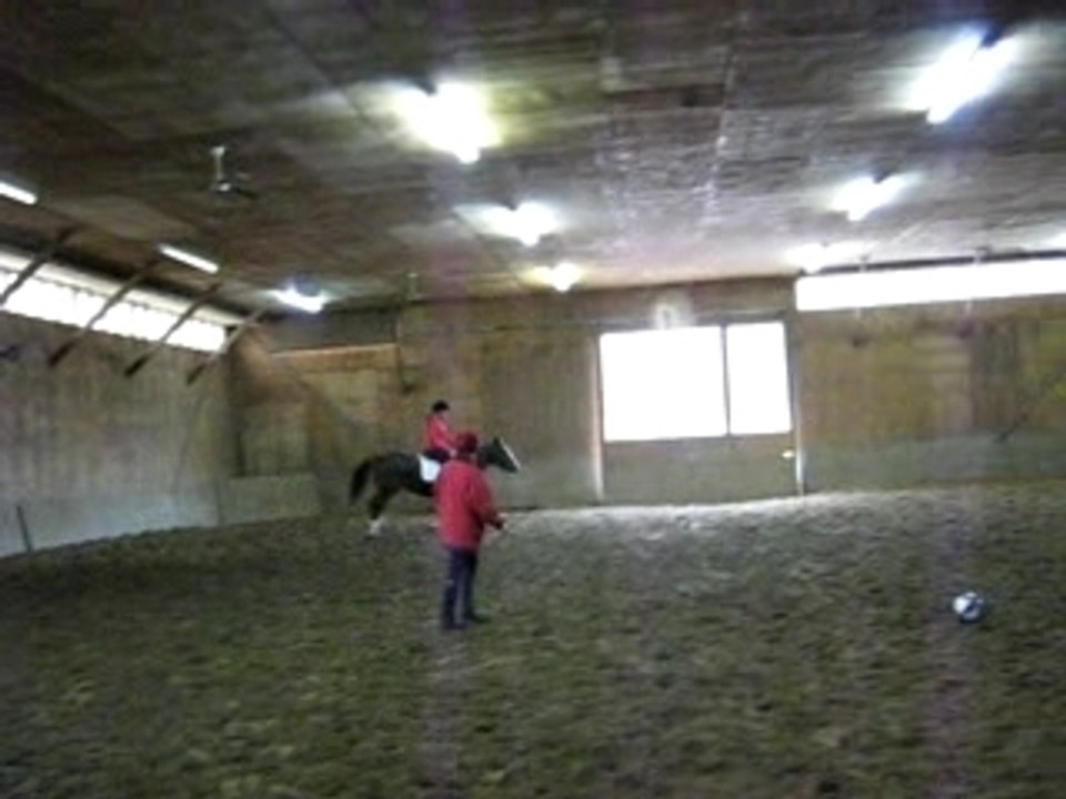 Galop debout
