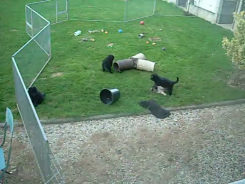 5 septembre 2013 (3) : ce que je vois de ma fenêtre (sans être vue .... quoique)