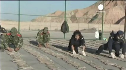 Çin'de 23 milyon Dolar değerinde antilop boynuzu ele...