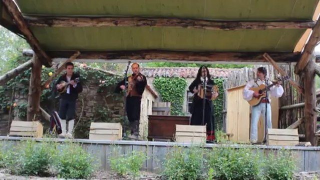 Les musiciens Traditionnels