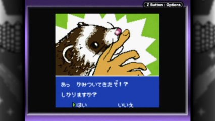 CGR Undertow - FERRET MONOGATARI review for Game Boy Color