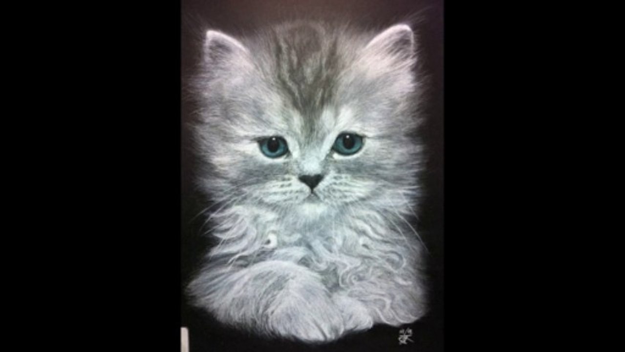 Le chaton de Margot